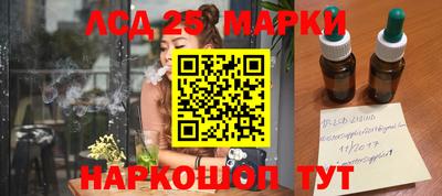 прущие грибы Абакан