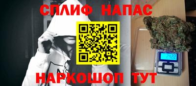 прущие грибы Абакан