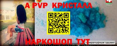 прущие грибы Абакан