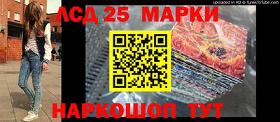 прущие грибы Абакан