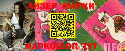 прущие грибы Абакан