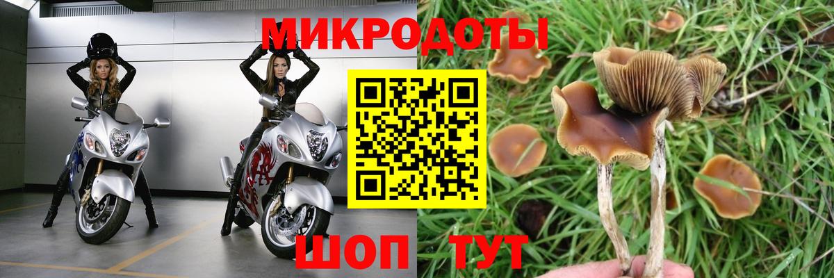 Галлюциногенные грибы GOLDEN TEACHER Амурск